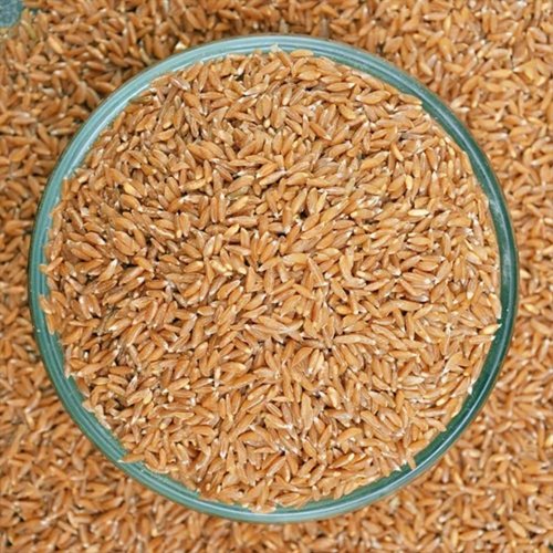 Agriculture Products